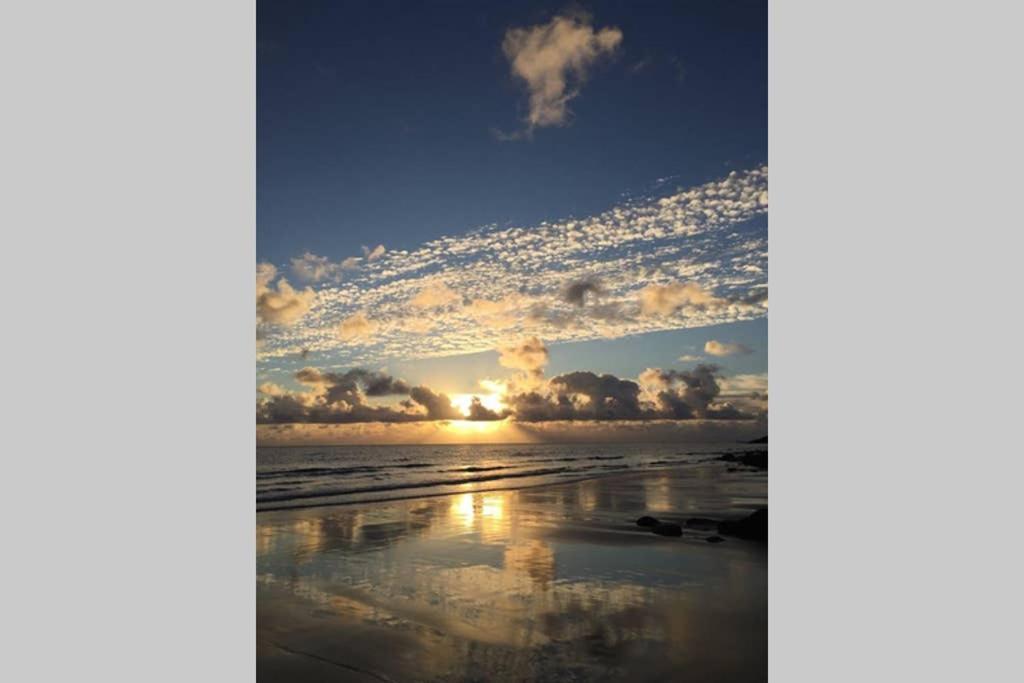 Playa Marina Ocean View Eco Bungalow アリエタ エクステリア 写真