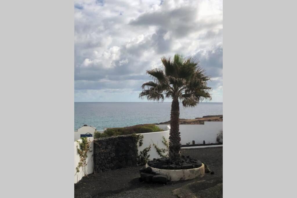 Playa Marina Ocean View Eco Bungalow アリエタ エクステリア 写真